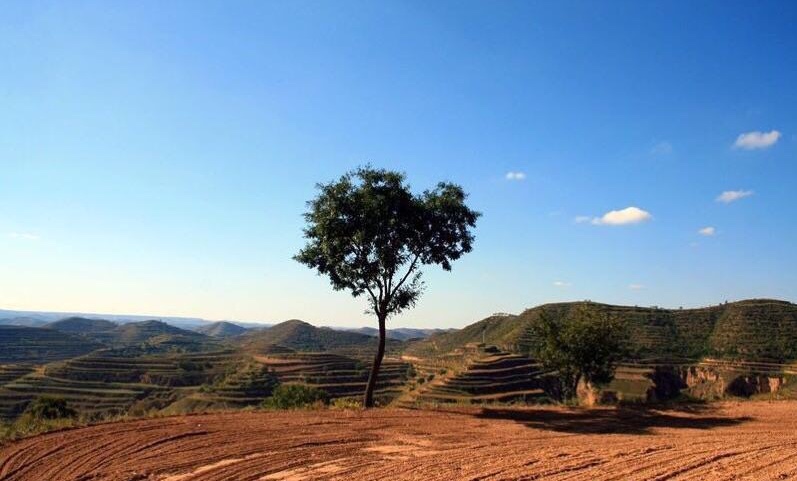 天下第一黄土高原,天下第一黄土高原是哪里