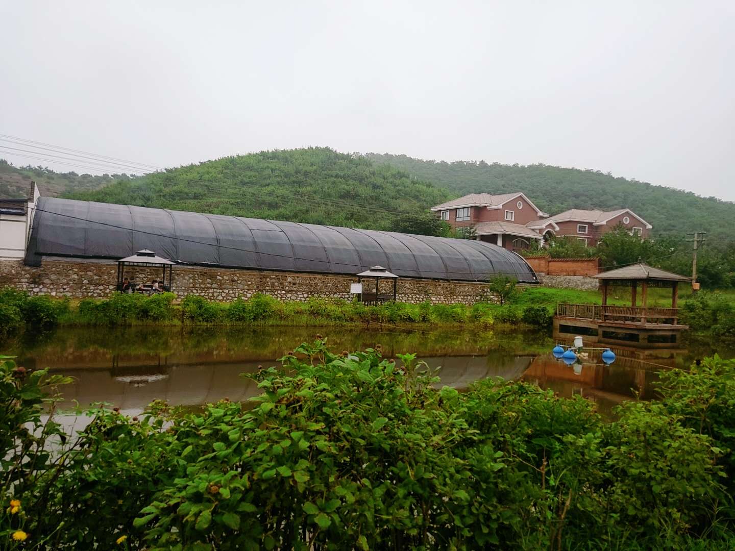 沈阳休闲野钓好地方,沈阳最新野钓鱼地方推荐9月