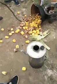 搞笑gif段子因为爱情所以共患难,搞笑gif段子小伙子你谈恋爱了吗