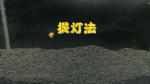 逗钓实操调漂技巧图解大全,钓鱼传统钓法是怎么调漂的