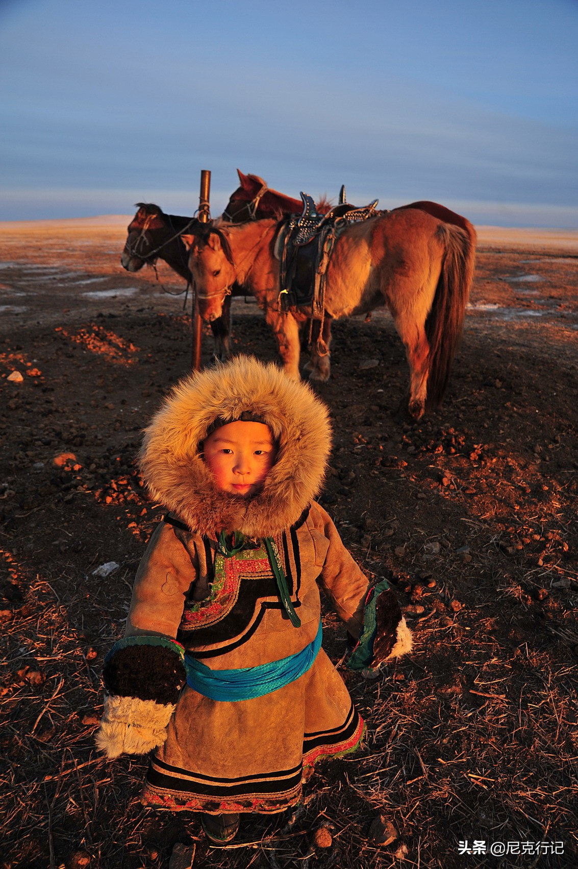 -30℃草原生活:羊群抱团取暖,马背全是冰,牧民坚守自然规律