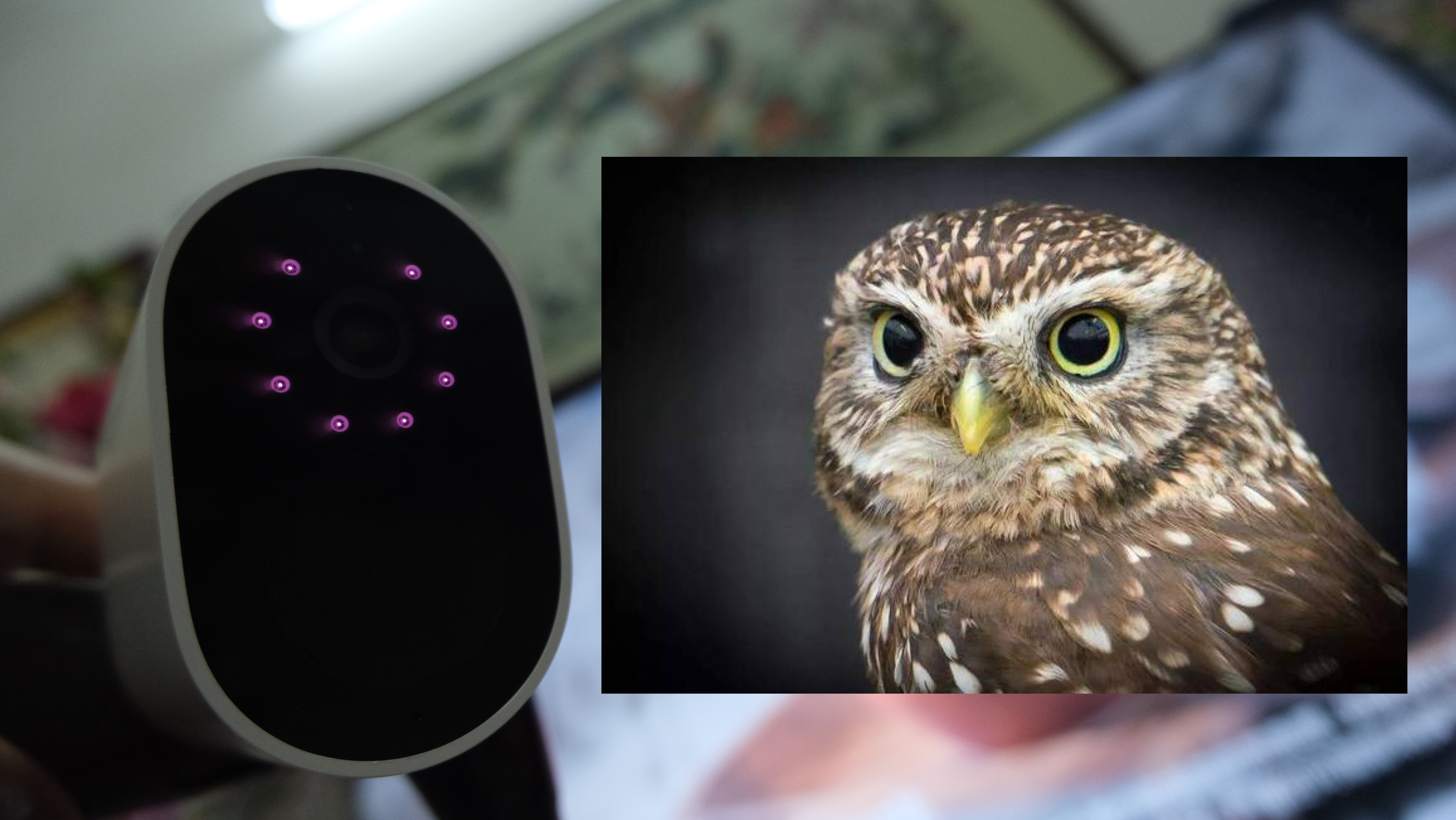 小米一代智能摄像机,小米智能室内摄像头