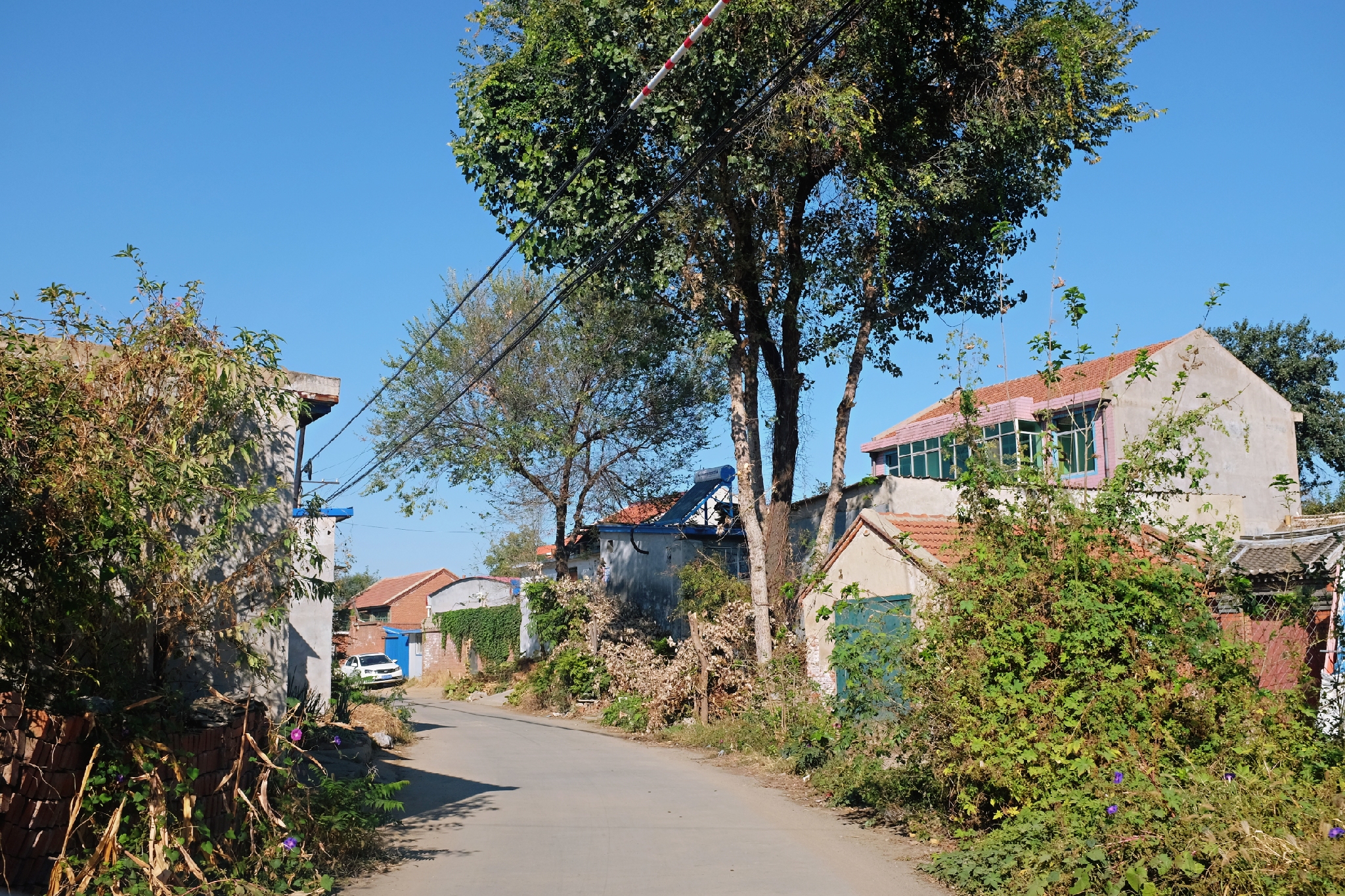 玉田净觉寺景点,唐山净觉寺三大奇观