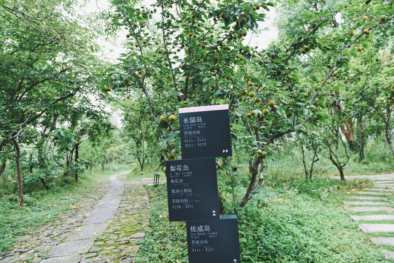 绿色世界花的海洋，在十里芳菲宠爱自己的24小时