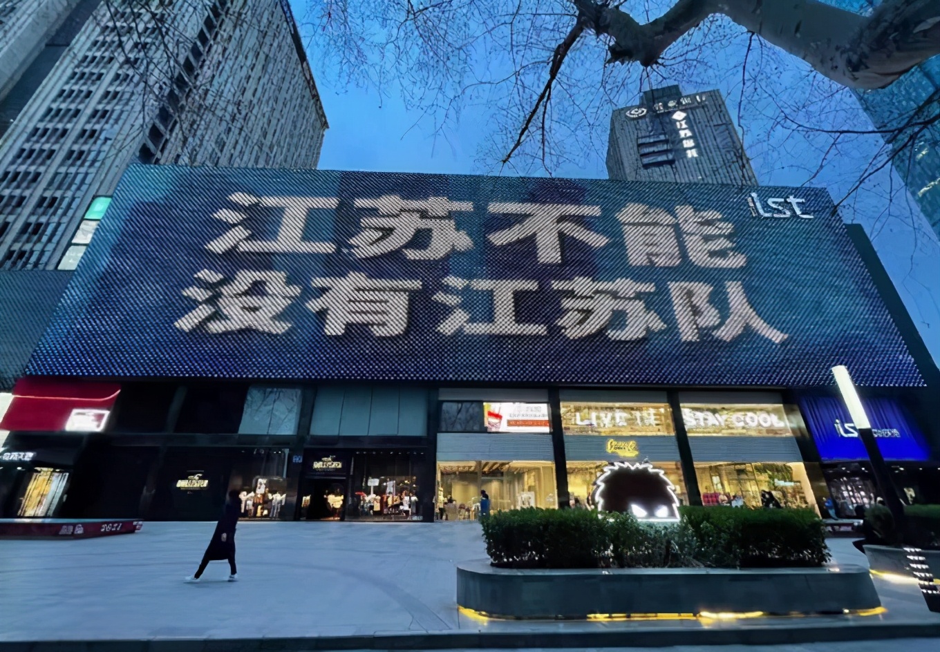 江苏队解散根本原因,江苏苏宁江苏队