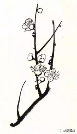 图文教程一学就会画写意菊花,零基础学画梅花教程