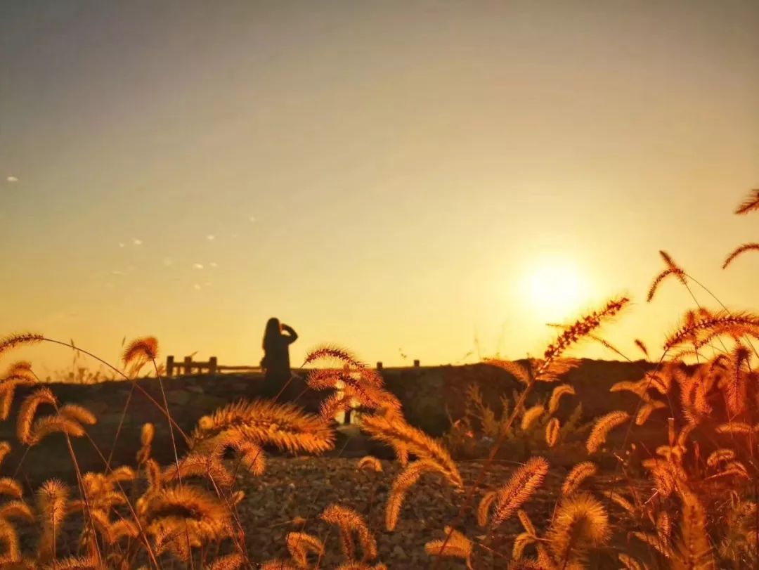 秋天赏枫叶好去处,赏红叶正当时