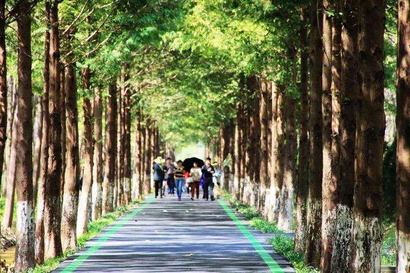 合肥六一去哪玩附近,合肥遛娃好去处六七岁孩子