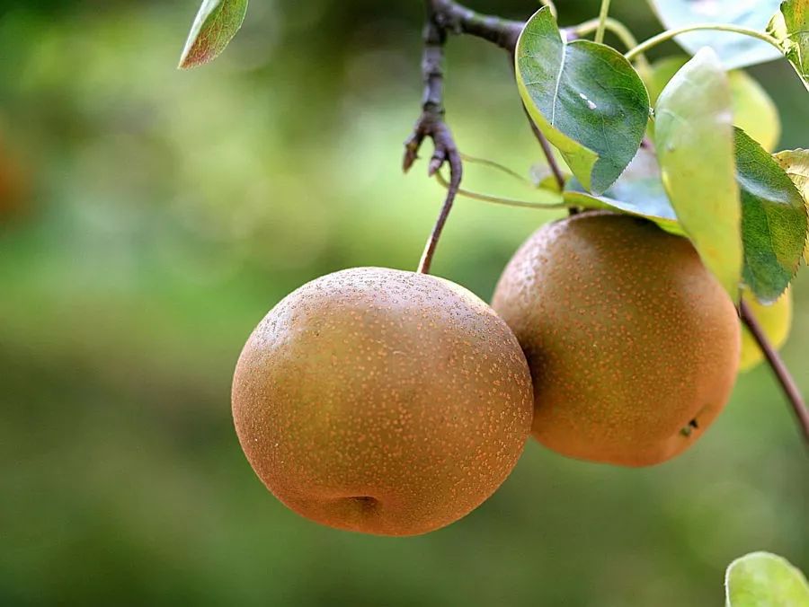 藏在贵州的十座千年古镇,贵州一个低调的千年古城