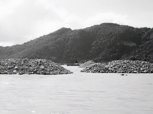 海南悍匪刘进荣简介,1993年海南悍匪刘进荣简介