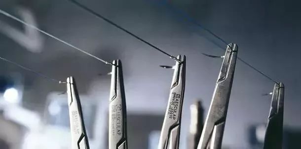 蚂蚁和羊肠是怎么把你和你“缝”在一起的?