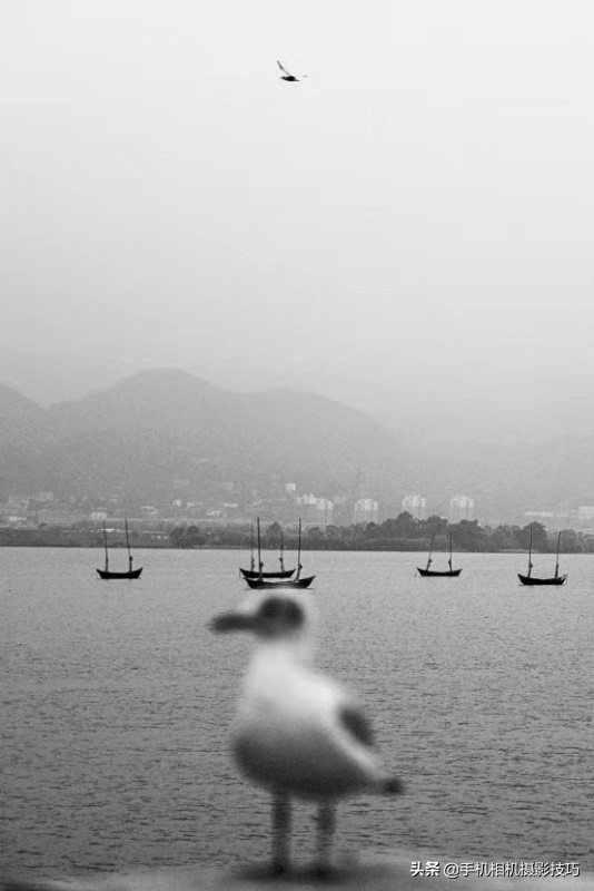 你的照片好不好看,照片拍得好与不好的区别