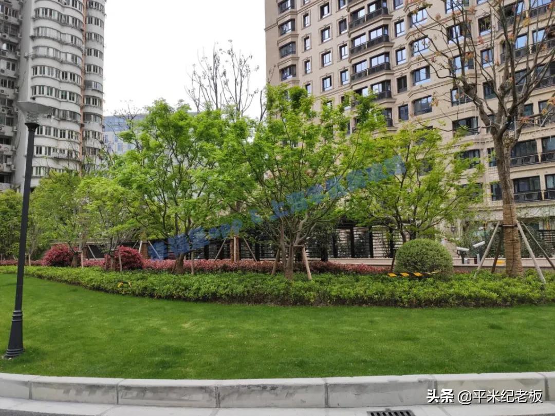 1300万享内环3房,对口一贯制学校,乐活居测评