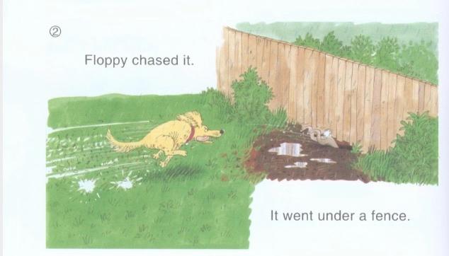 1级绘本（B）Lesson26：Floppy狗与兔子的两次悲惨相遇