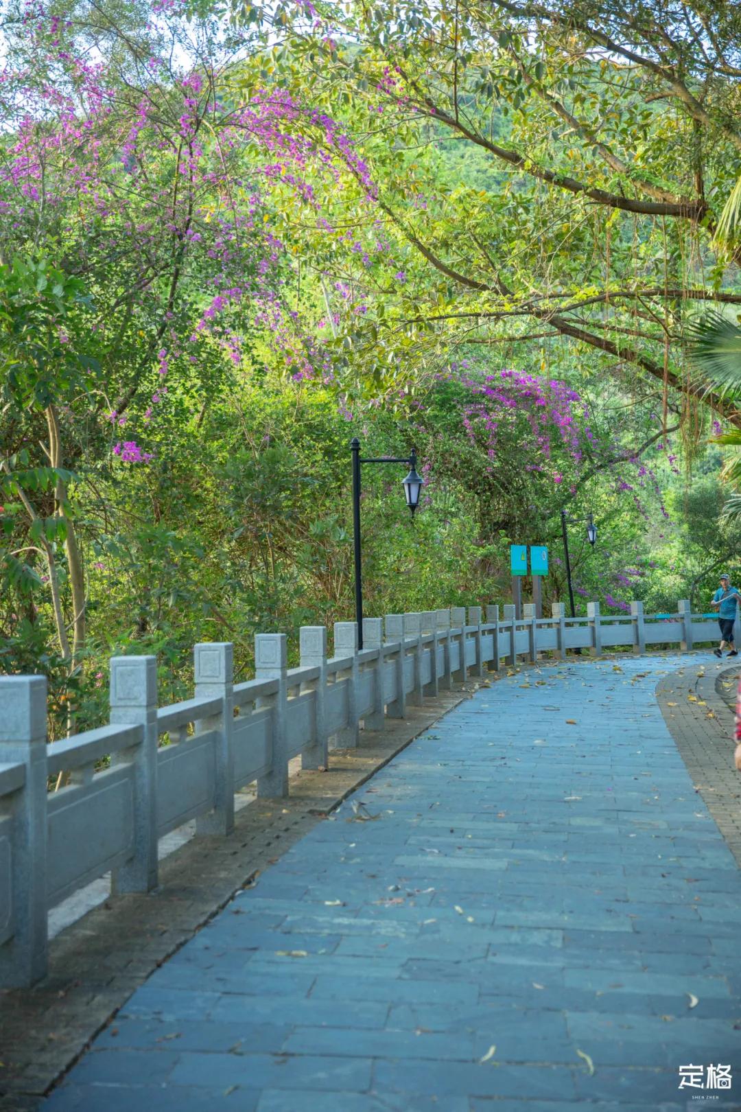 深圳梅林水库有山溪吗,深圳梅林水库在哪个区