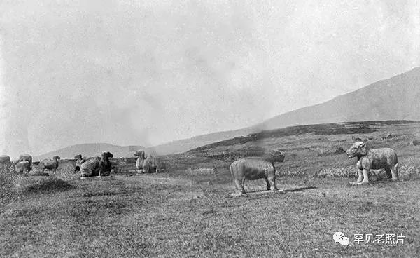 100年南京大桥绘画,南京红色100年