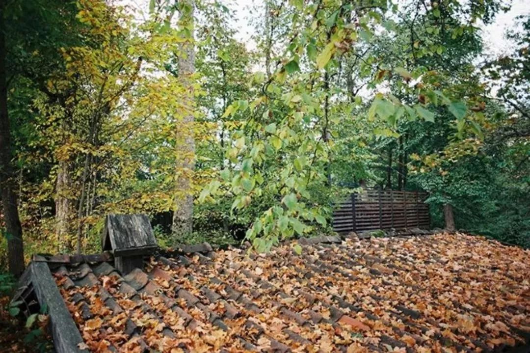 哪个国家的lv最便宜2019,在法国买lv包比中国便宜多少