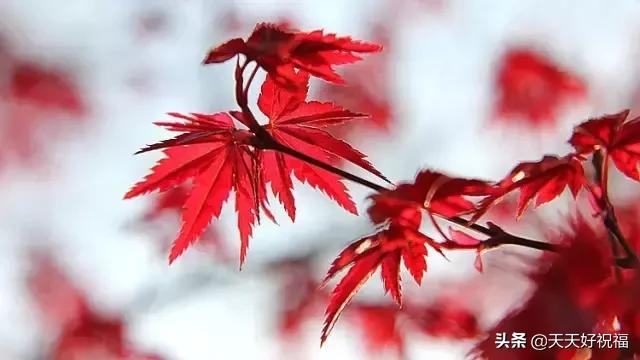 绝！绝！绝！这条微信谁编的？太有才了