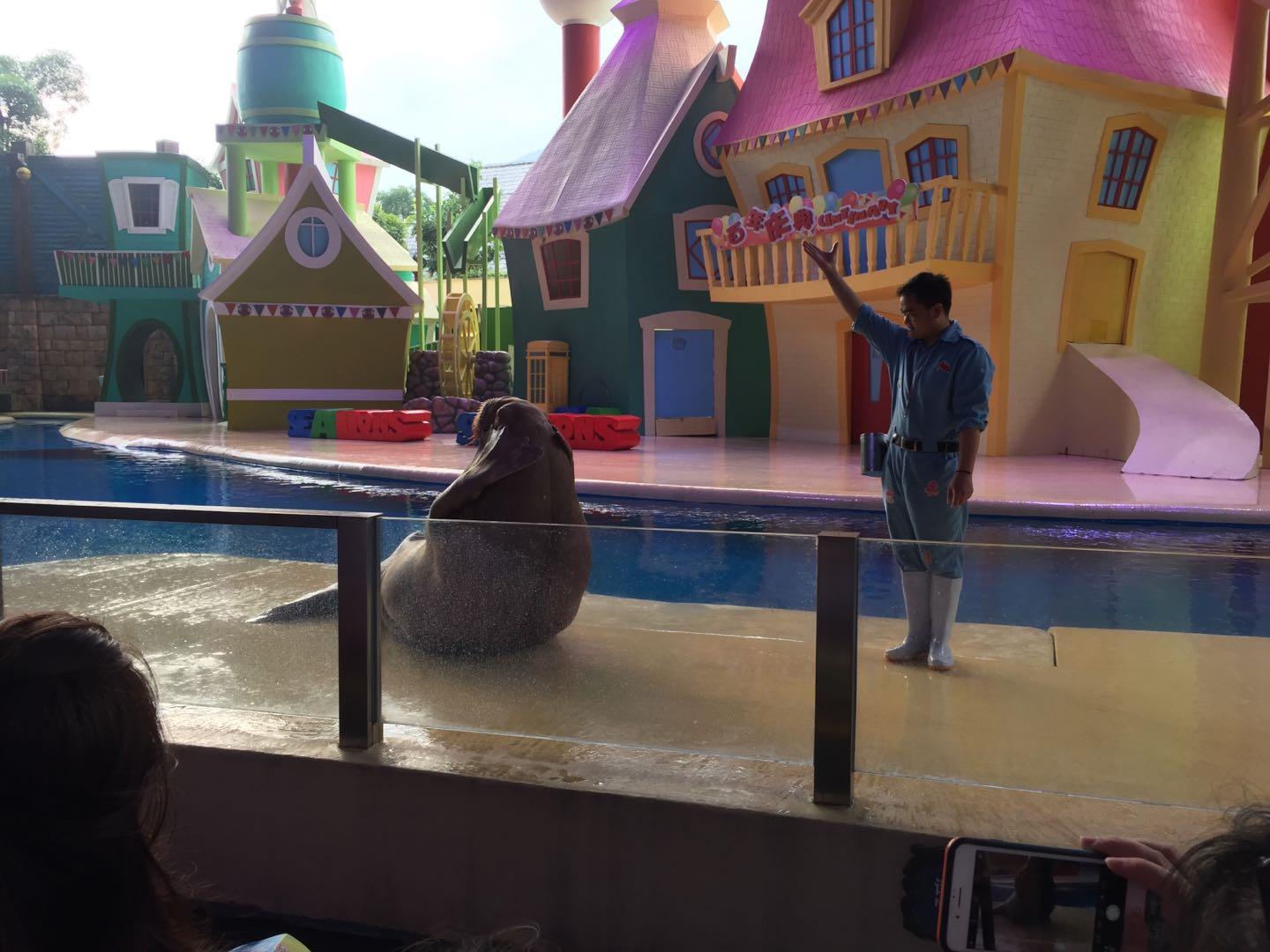 珠海长隆海洋王国附近美食,珠海长隆海洋王国官网预约