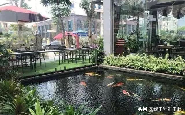 常见药用消毒液,常用的皮肤消毒液有哪些