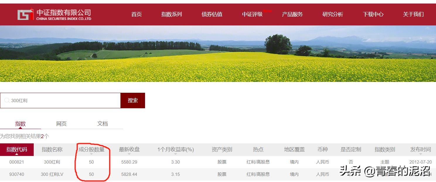 两大蓝筹红利ETF:红利300和300红利异同点比较?