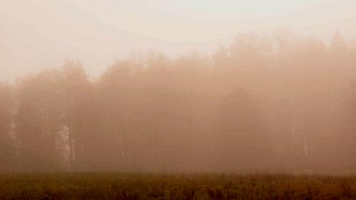 千万别低估雾霾的危害！你以为平时戴的口罩有用？天真！