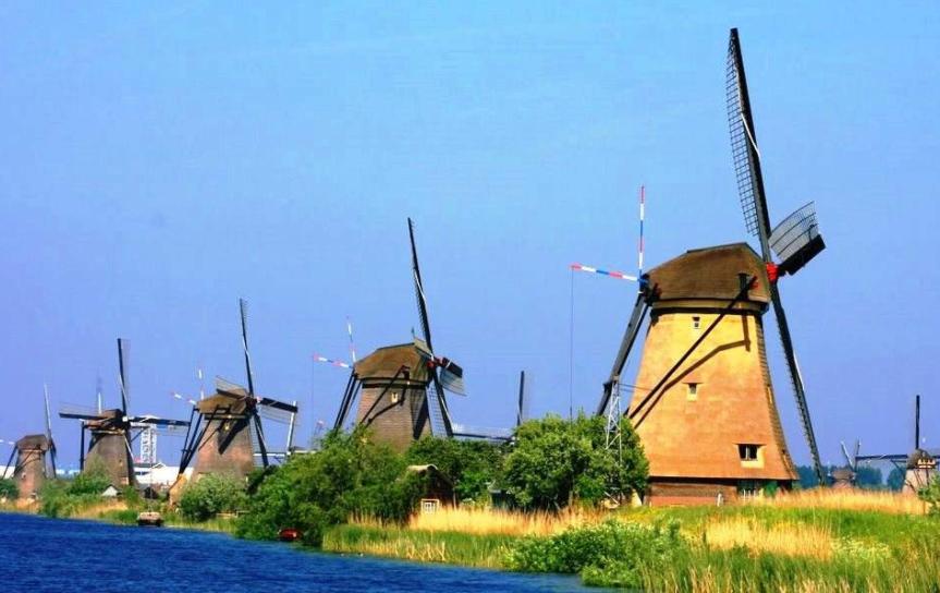 为什么中国叫“荷兰豆”，荷兰却叫“中国豆”，到底是谁叫错了