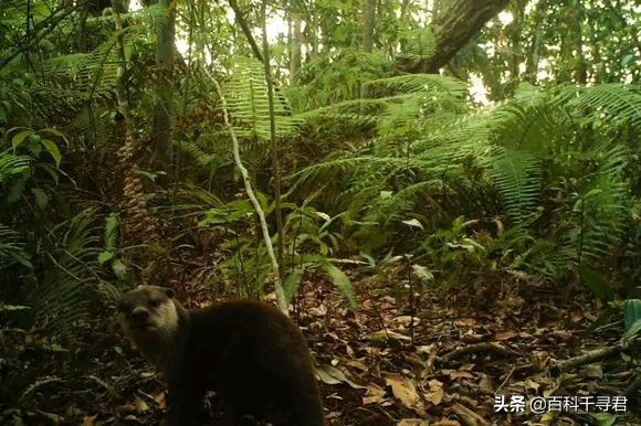 五月的最后一天是星期几,五月的第三个星期天是什么节日