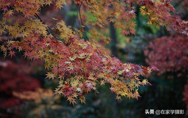 卡色uv镜和偏振镜哪个好,uv镜cpl偏光镜