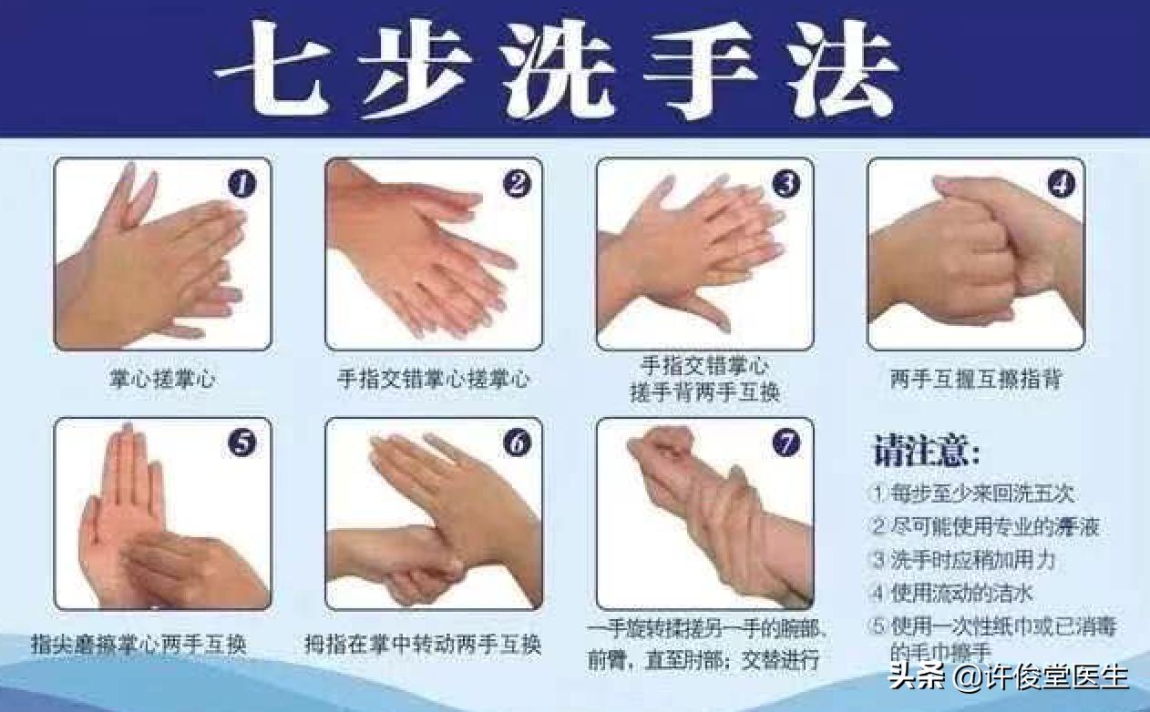 病毒大流行期间的生活,病毒是如何生存