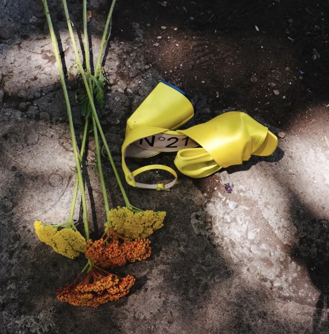 没有少女心也可以爱上这朵“蝴蝶结”