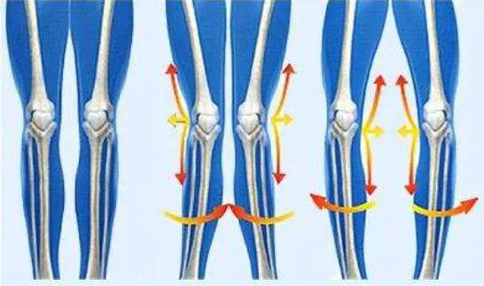 六种好看腿型,几种好看的腿型
