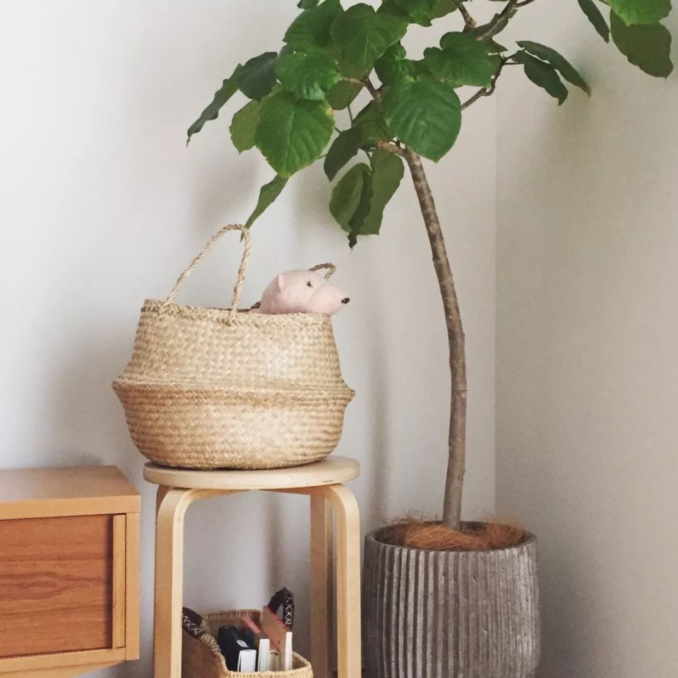 日本主妇收纳100种方法,日本太太最爱用的十件收纳神器