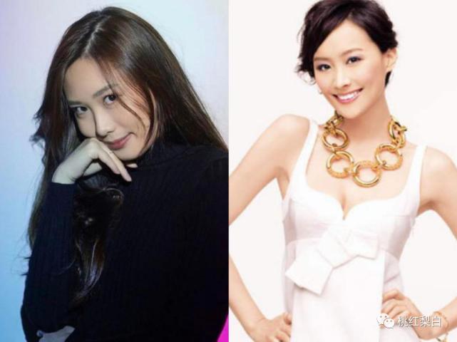 小时候丑小鸭变成白天鹅,小时候漂亮长大后变丑了的明星