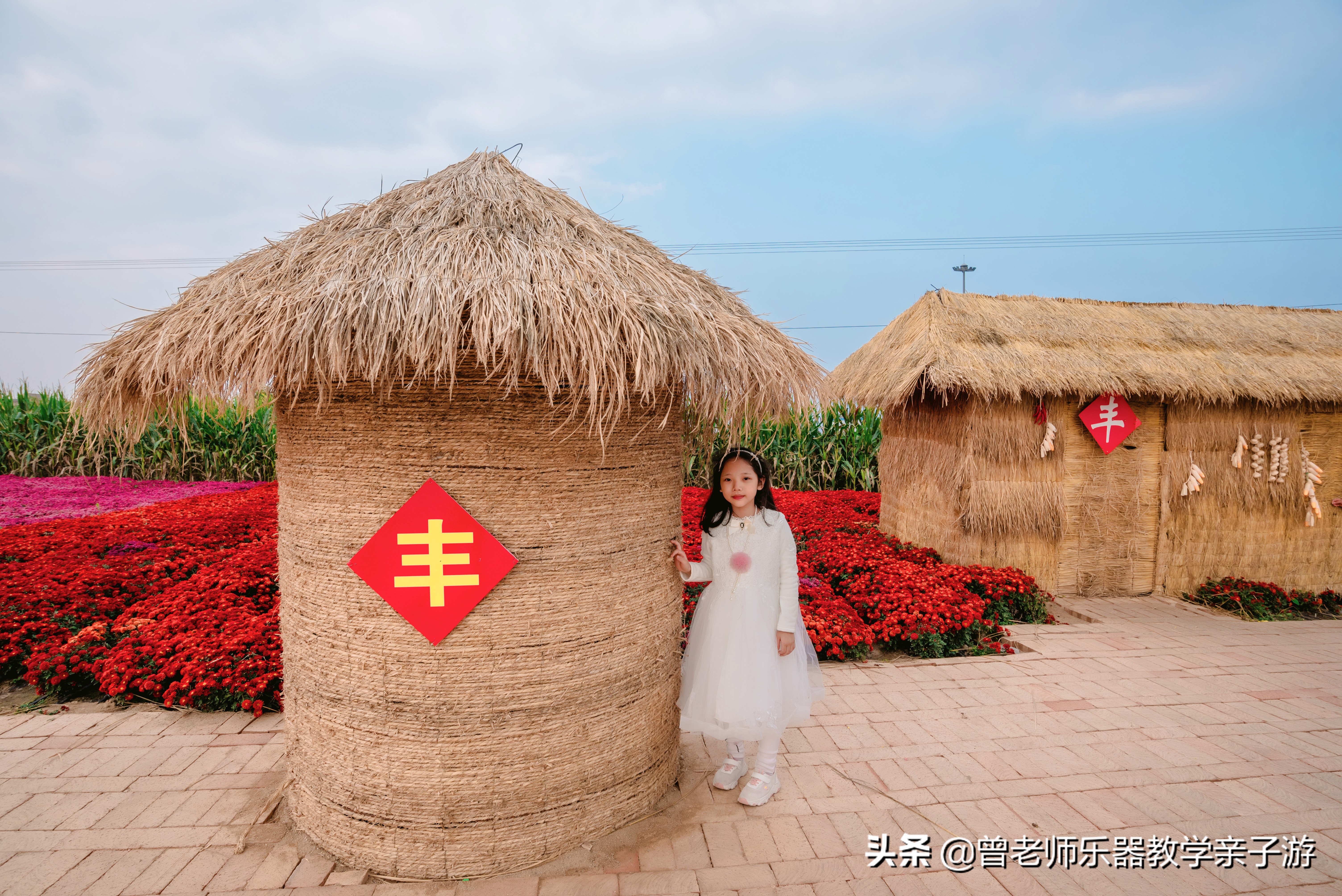 爱菊研学游,爱菊丝路文化菊花园西安