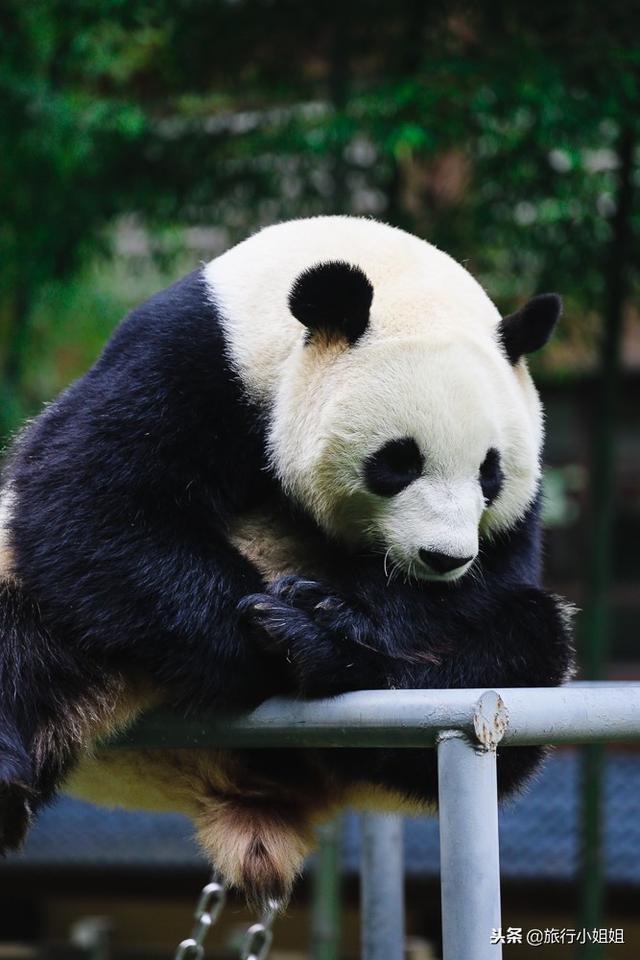 天目湖加南山竹海哪里泡温泉好,天目湖度假秘境享受绝美自然山水