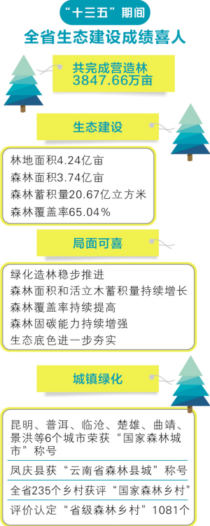 一两沉香万两金国内公认,一两沉香木