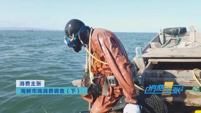 三亚海鲜市场皮皮虾多少钱一斤,海鲜市场上的皮皮虾