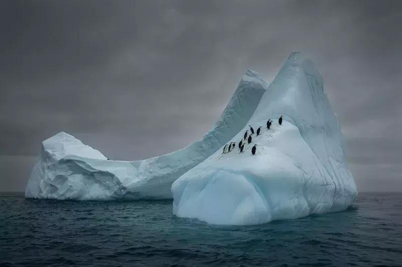 2018ippa摄影大赛公布获奖作品,国际摄影大奖佳作欣赏美爆了