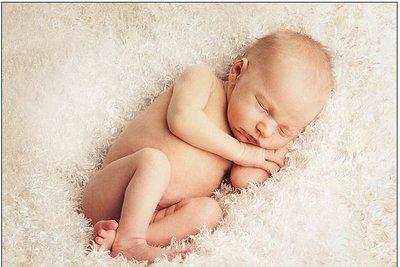 羊奶粉国内十大品牌排名,羊奶粉排名第一是哪一款