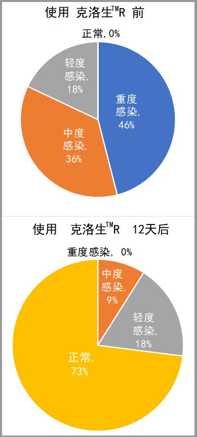 梭菌感染,梭菌感染牛啥症状