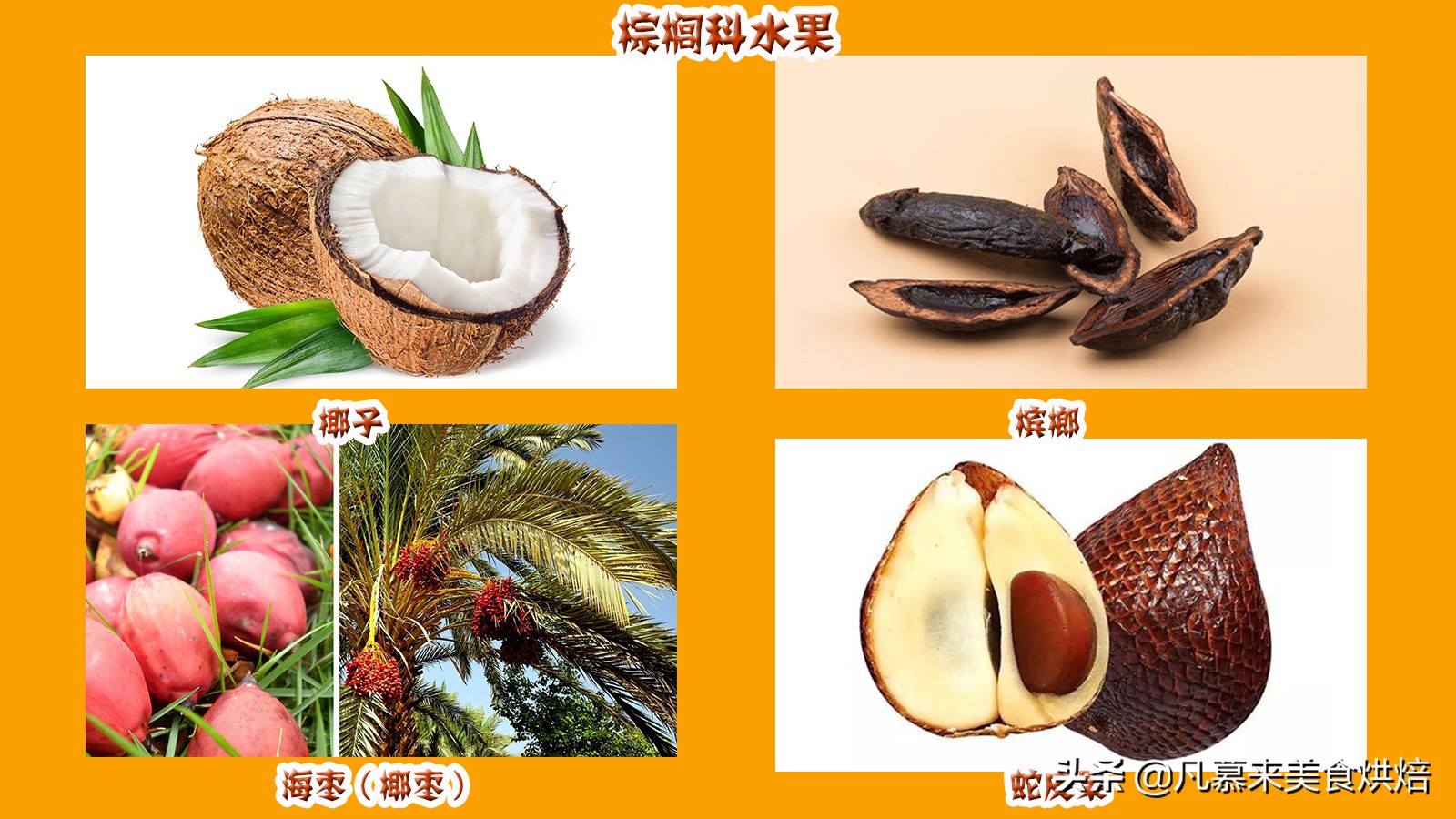 水果百科知识大全水果种类,水果种类大全水果如何分类