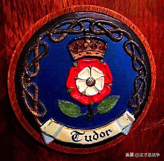 一位绝色美女的玫瑰和战争，一切为了王室的荣耀