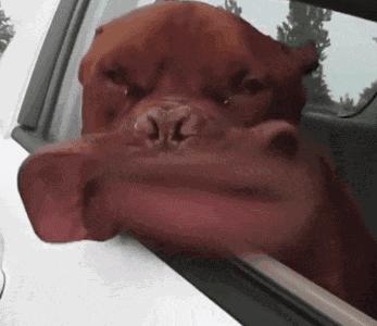 国产鞋都是怎么制造,国产鞋怎么能这么便宜