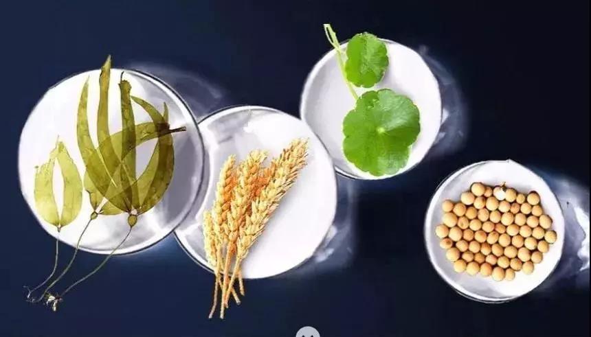 我的21天美容之路,我的养肤秘籍