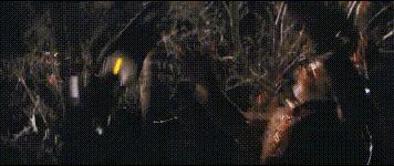 盘点小李子经典八部高分电影,小李子最经典十部电影