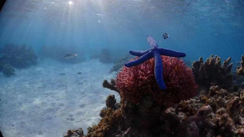 塞班出行小攻略|免签的海岛国家