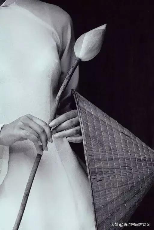 十首长相思词,十首长相思美到心醉