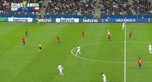 美洲杯阿根廷夺冠梅西捧杯夺金靴,美洲杯阿圭罗迪巴拉破门