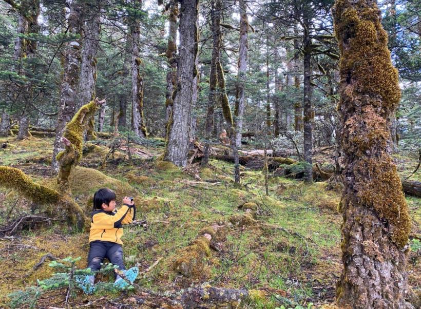 他叫辛巴，不是狮子王，8岁穿越12国：最好的教育，永远在路上